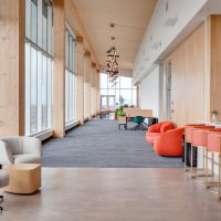 Ascent Int-22 copy Large